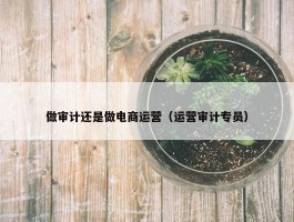 做审计还是做电商运营（运营审计专员）