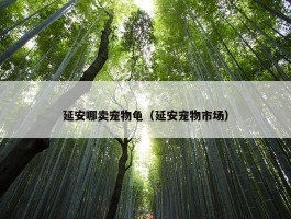 延安哪卖宠物龟（延安宠物市场）