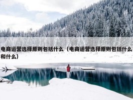 电商运营选择原则包括什么（电商运营选择原则包括什么和什么）