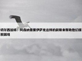 切尔西旧将：阿森纳需要伊萨克这样的前锋来帮助他们摆脱困境