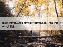 年薪1亿欧内马尔豪掷700万镑收购小岛，仅花了自己一个月薪水