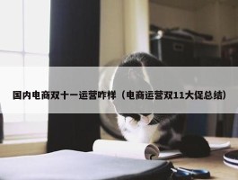 国内电商双十一运营咋样（电商运营双11大促总结）