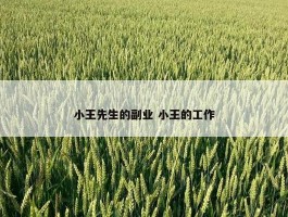 小王先生的副业 小王的工作