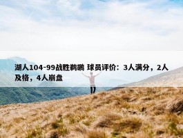 湖人104-99战胜鹈鹕 球员评价：3人满分，2人及格，4人崩盘