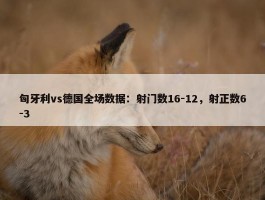 匈牙利vs德国全场数据：射门数16-12，射正数6-3