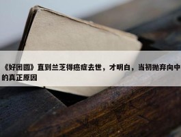 《好团圆》直到兰芝得癌症去世，才明白，当初抛弃向中的真正原因