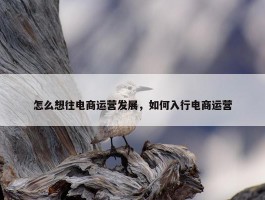 怎么想往电商运营发展，如何入行电商运营