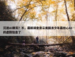 沉迷AI聊天？不，最新调查显示美国青少年最担心AI的虚假信息了