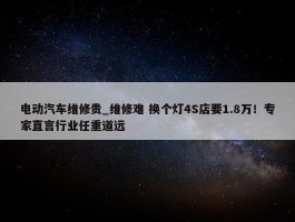 电动汽车维修贵_维修难 换个灯4S店要1.8万！专家直言行业任重道远