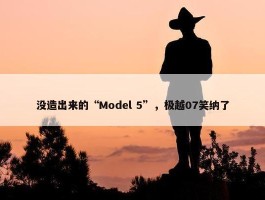 没造出来的“Model 5”，极越07笑纳了