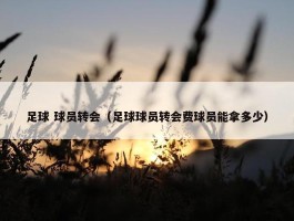 足球 球员转会（足球球员转会费球员能拿多少）