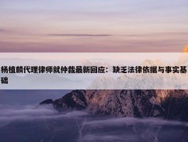 杨植麟代理律师就仲裁最新回应：缺乏法律依据与事实基础