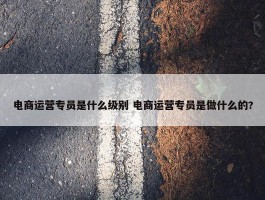 电商运营专员是什么级别 电商运营专员是做什么的?