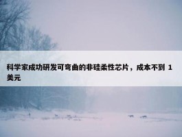 科学家成功研发可弯曲的非硅柔性芯片，成本不到 1 美元