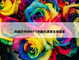 孙颖莎夺得WTT中国大满贯女单冠军