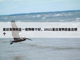 夏日宠物和五一宠物哪个好，2021夏日宠物装备选哪个