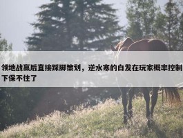 领地战赢后直接踩脚策划，逆水寒的白发在玩家概率控制下保不住了