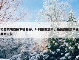 和黄晓明交往不被看好，叶珂遗憾退网，杨颖退圈却早已身家过亿