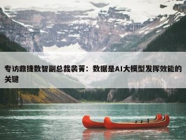 专访鼎捷数智副总裁裴菁：数据是AI大模型发挥效能的关键