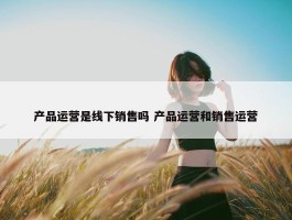 产品运营是线下销售吗 产品运营和销售运营