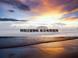 阴阳过宠物吗 有没有阴阳狗