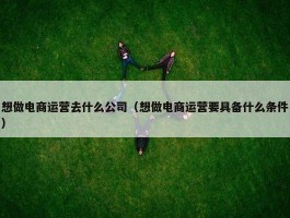 想做电商运营去什么公司（想做电商运营要具备什么条件）