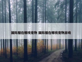 国际服在哪找宠物 国际服在哪找宠物游戏