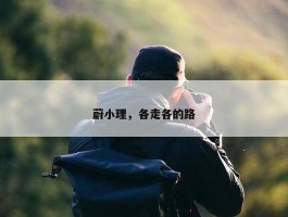 蔚小理，各走各的路