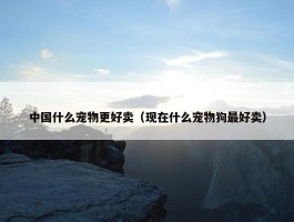 中国什么宠物更好卖（现在什么宠物狗最好卖）