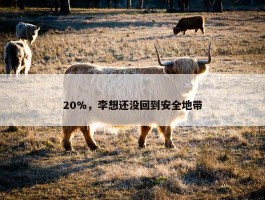 20%，李想还没回到安全地带