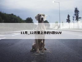 11月_12月要上市的5款SUV