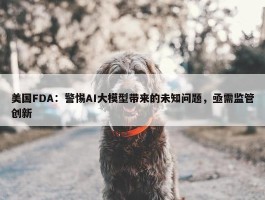 美国FDA：警惕AI大模型带来的未知问题，亟需监管创新