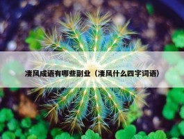 凄风成语有哪些副业（凄风什么四字词语）