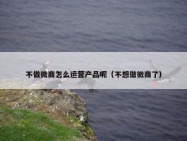 不做微商怎么运营产品呢（不想做微商了）