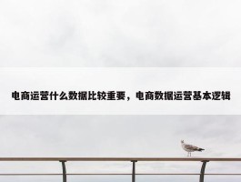 电商运营什么数据比较重要，电商数据运营基本逻辑