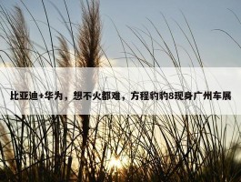 比亚迪+华为，想不火都难，方程豹豹8现身广州车展