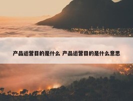 产品运营目的是什么 产品运营目的是什么意思