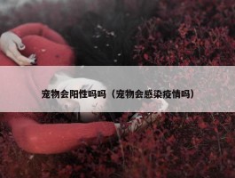 宠物会阳性吗吗（宠物会感染疫情吗）