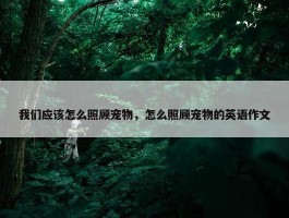 我们应该怎么照顾宠物，怎么照顾宠物的英语作文