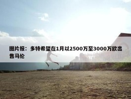 图片报：多特希望在1月以2500万至3000万欧出售马伦