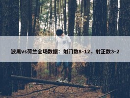 波黑vs荷兰全场数据：射门数8-12，射正数3-2