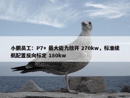 小鹏员工：P7+ 最大能力放开 270kw，标准续航配置反向标定 180kw