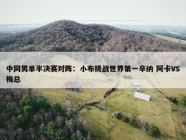 中网男单半决赛对阵：小布挑战世界第一辛纳 阿卡VS梅总