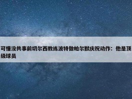 可惜没共事前切尔西教练波特做帕尔默庆祝动作：他是顶级球员