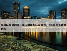 泰山队恢复训练，泽卡加速与队友磨合，9名国字号缺席合练