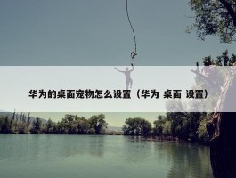 华为的桌面宠物怎么设置（华为 桌面 设置）