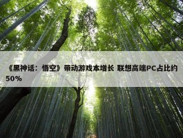 《黑神话：悟空》带动游戏本增长 联想高端PC占比约50%