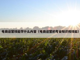 电商运营技能学什么内容（电商运营的专业知识和技能）