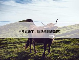 半年过去了，这场闹剧还没停？