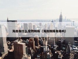 海南有什么宠物蜘蛛（海南蜘蛛有毒吗）